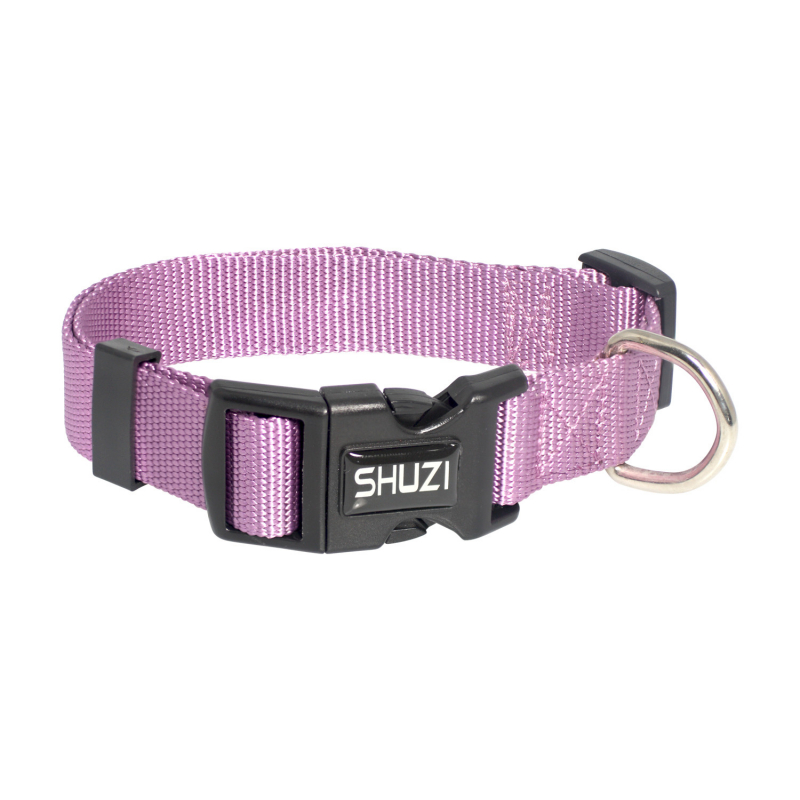 Dog Collar Purple