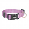 Dog Collar Purple