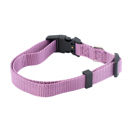 Dog Collar Purple